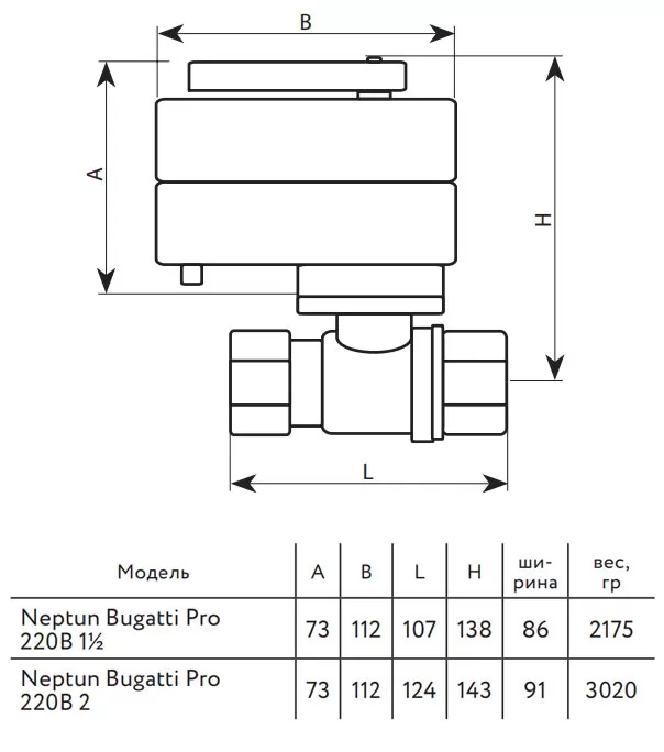 Neptun bugatti pro 220в схема